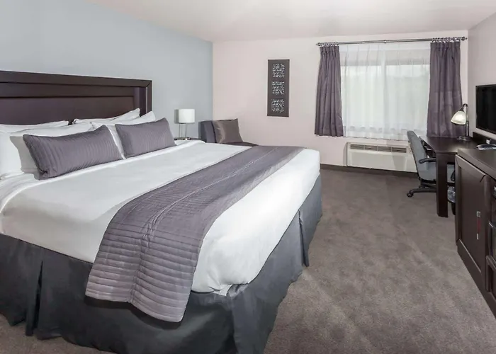Baymont By Wyndham Glenview